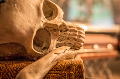 Auch der Herbst hat schoene Tage (Foto - Christopher Muschitz)